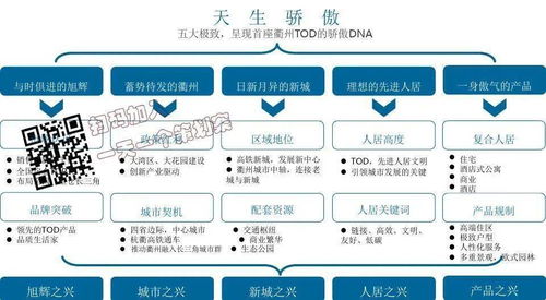 旭輝衢州萬達東項目策略提報 項目策劃與公關服務